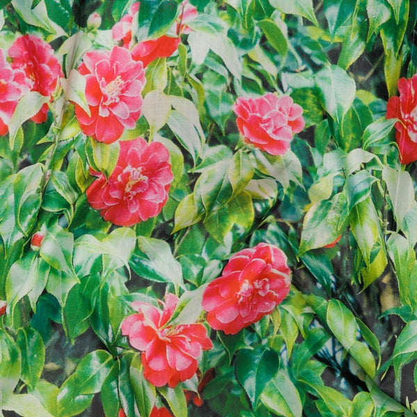 【入荷未定】STANDARD BAGGU カメリア 2023FW【メール便は送料無料 / 日時指定不可】