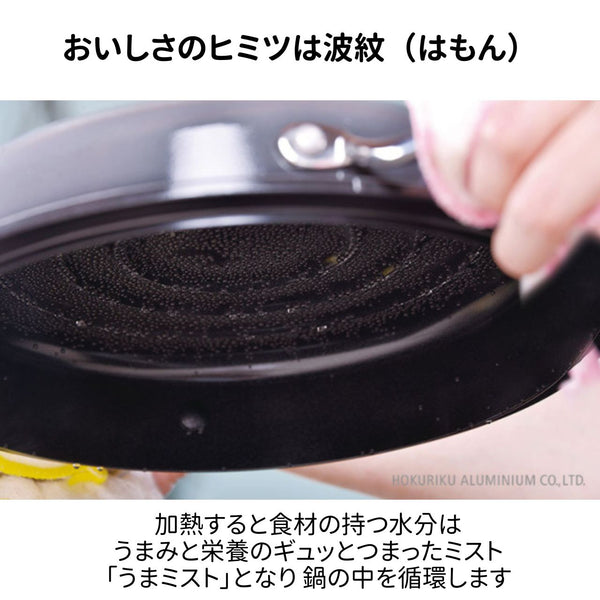 【お取り寄せ/送料無料】HAMON 薄桜【ガス火専用】